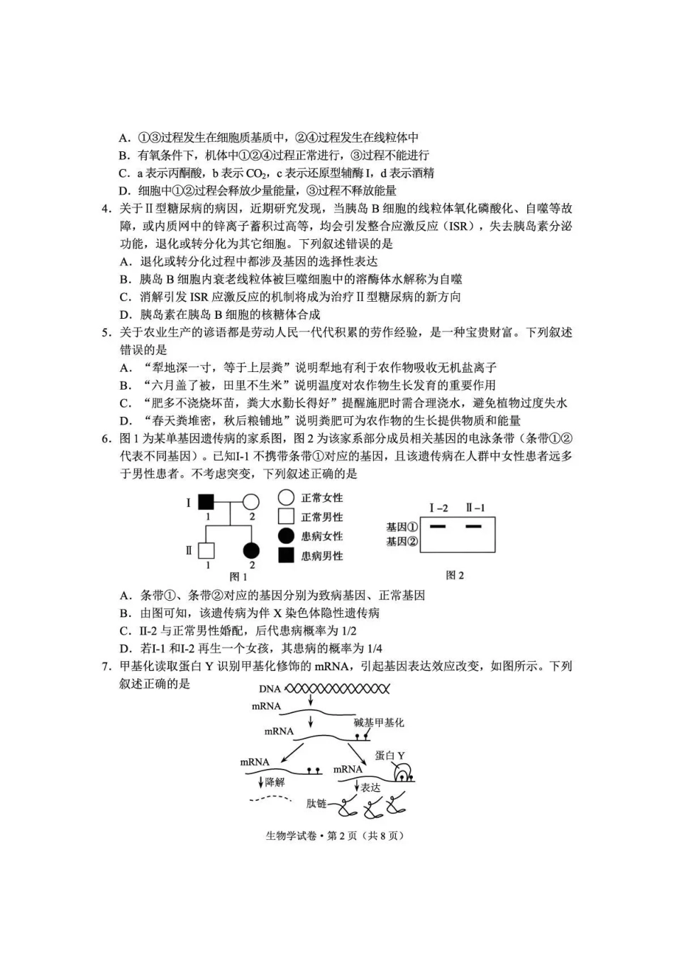 云南师大附中2026届高考备考练习题生物.pdf_第2页
