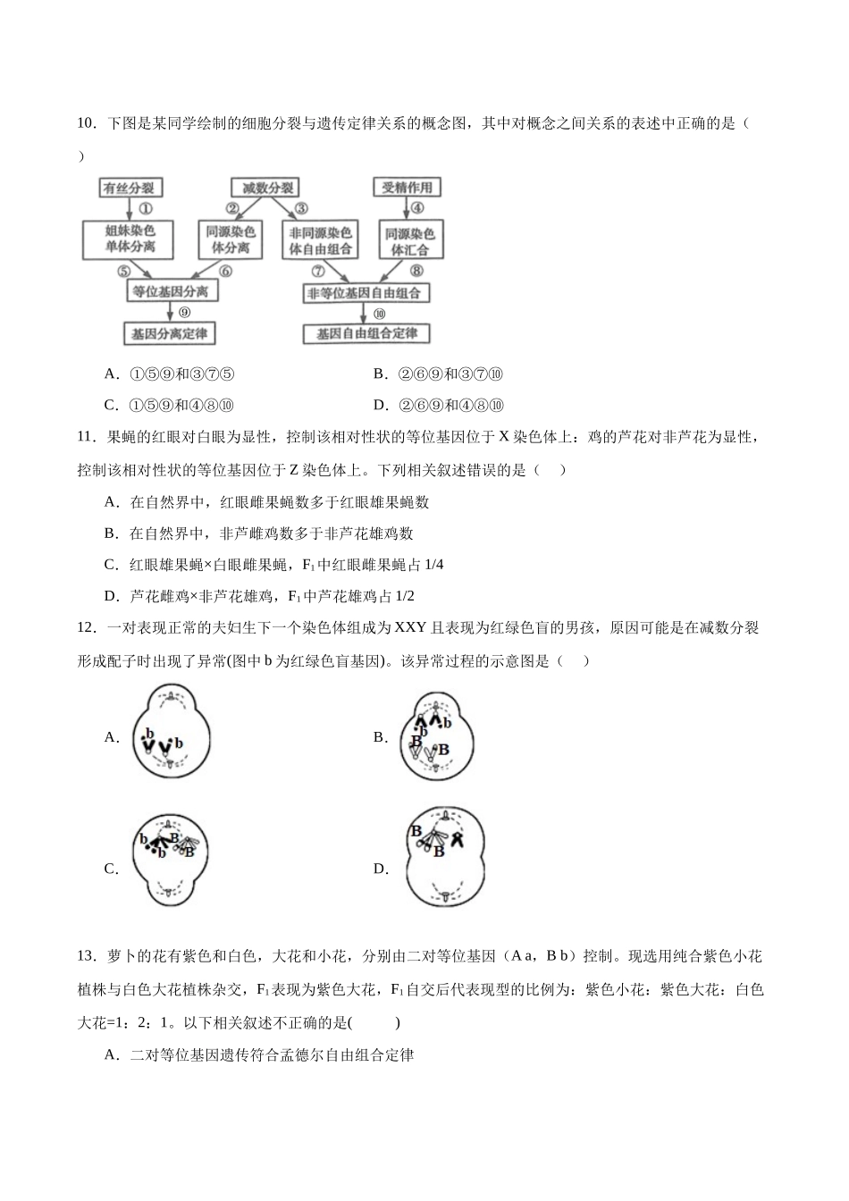 【必修2 遗传与进化】消灭易错必刷100题（原卷版）.docx_第3页