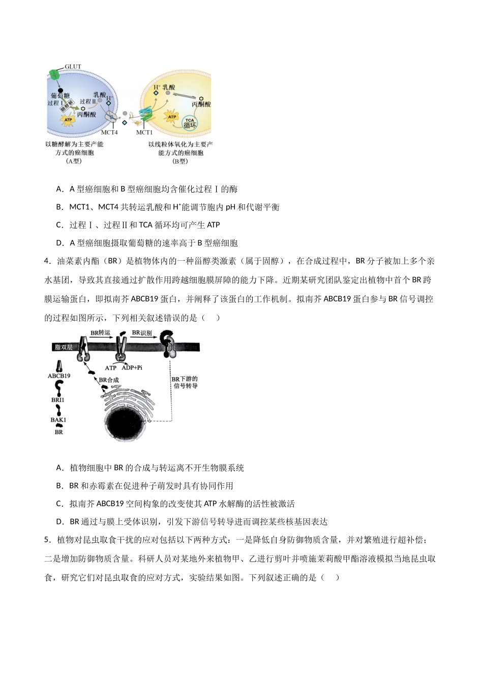 临考押题卷（安徽专用）（学生版）.docx_第2页