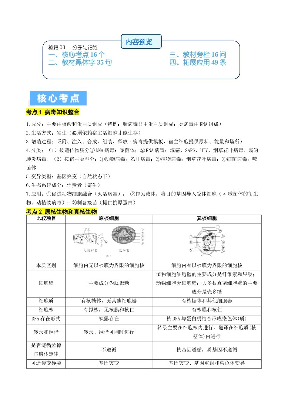 秘籍01 分子与细胞必备梳理(核心考点+教材黑体字+教材旁栏+拓展应用)(新高考专用).docx_第1页