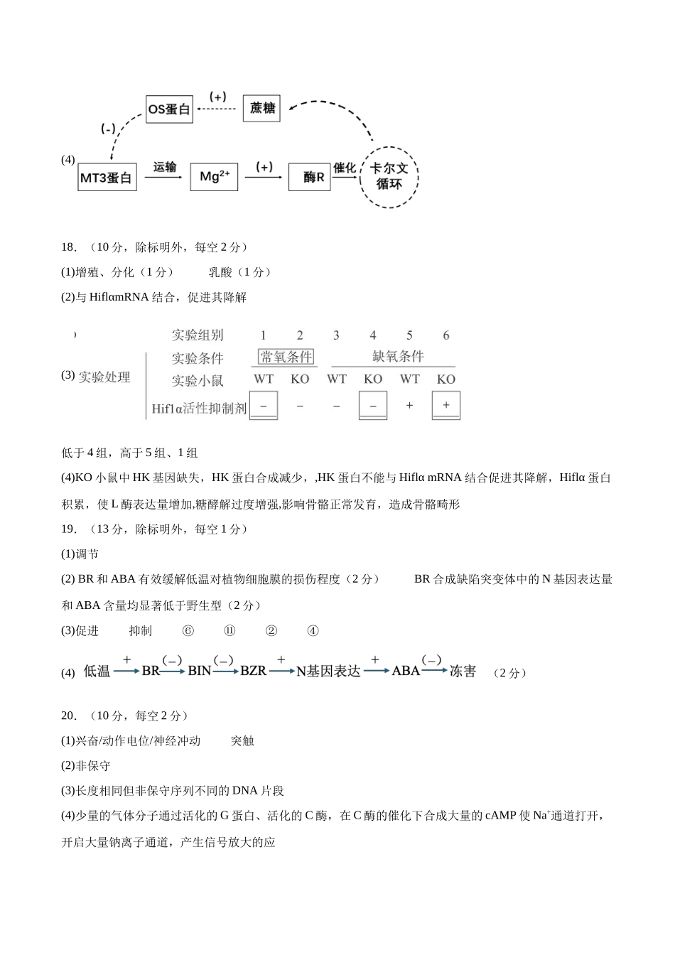 模拟卷01(重庆专用)(参考答案).docx_第2页