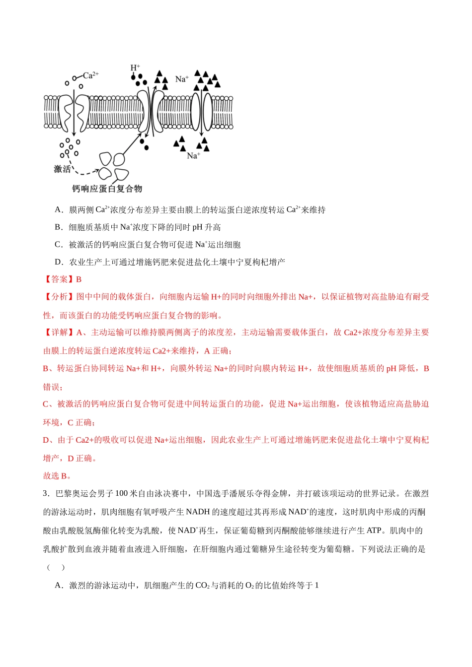 模拟卷03(新高考八省专用)(解析版).docx_第2页