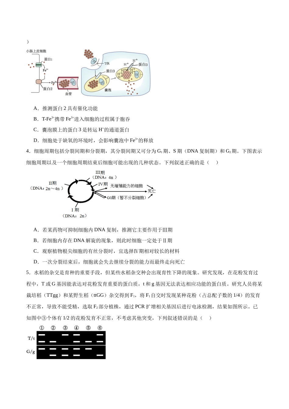 模拟卷03(重庆专用)(考试版).docx_第2页