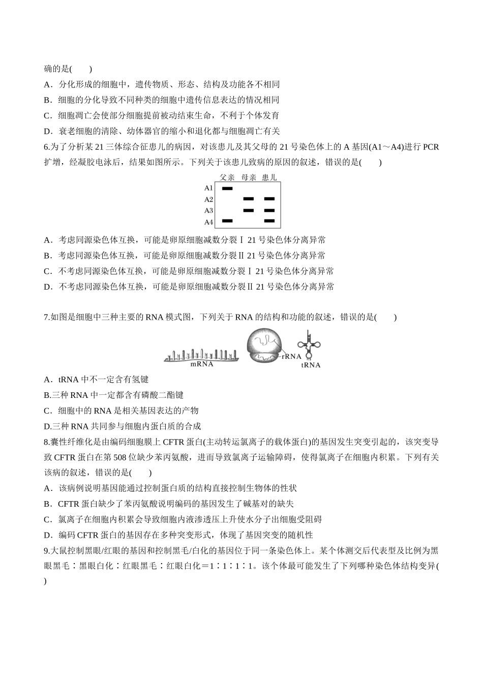 模拟卷04(考试版).docx_第2页