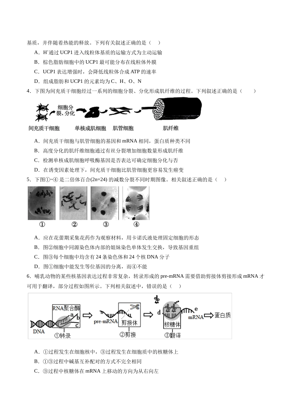 模拟卷05（新高考八省专用）（考试版）.docx_第2页