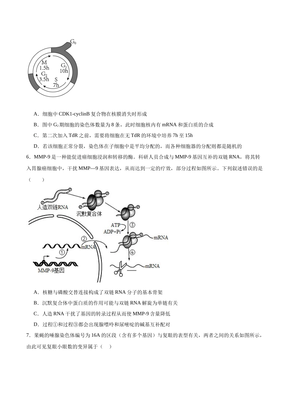 模拟卷06(安徽专用)(考试版).docx_第3页