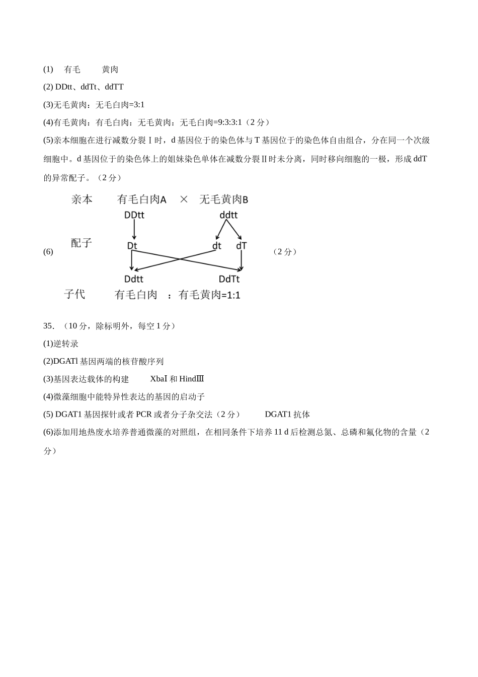 模拟卷06（参考答案）.docx_第2页