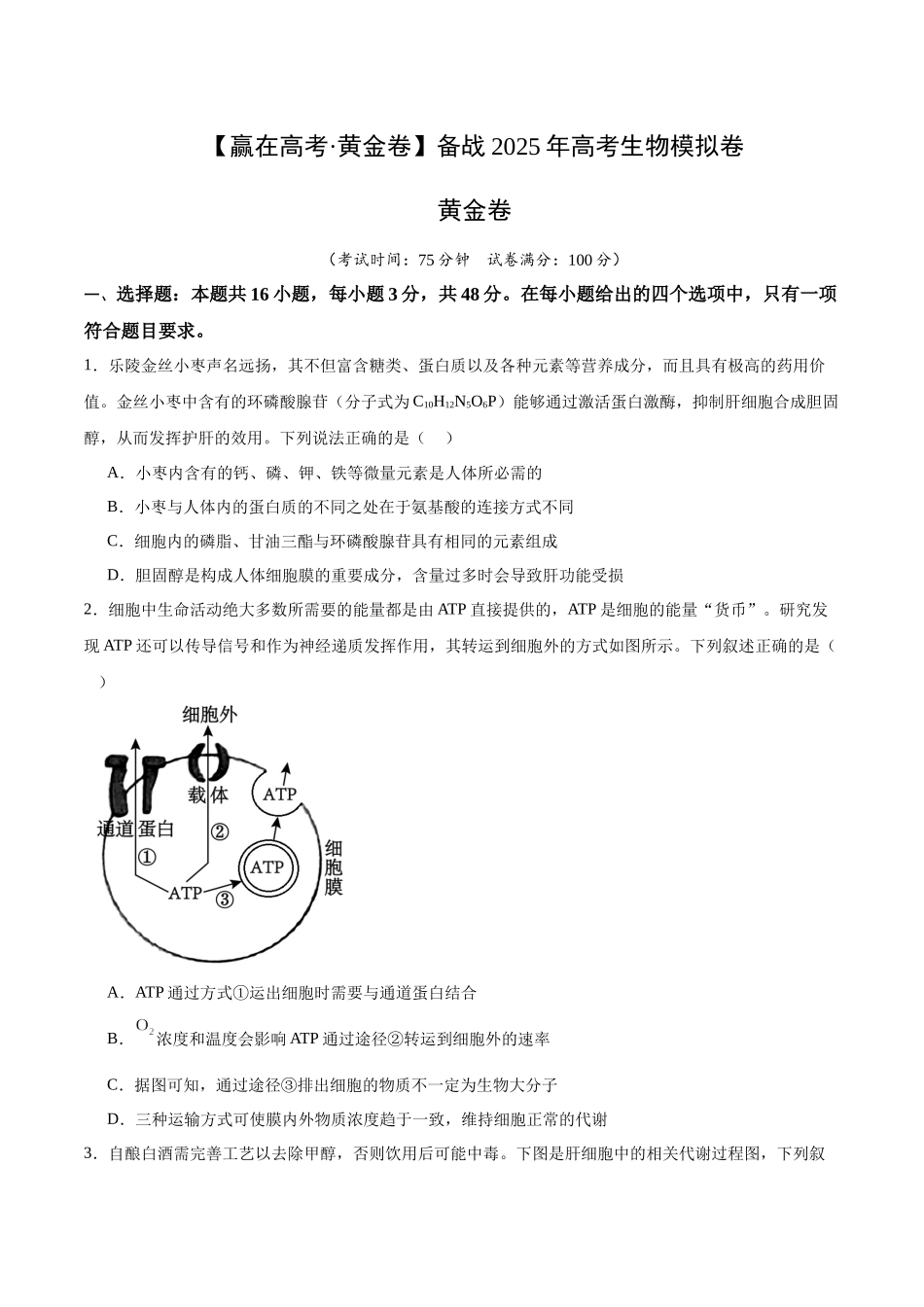 模拟卷06(新高考八省专用)(考试版).docx_第1页