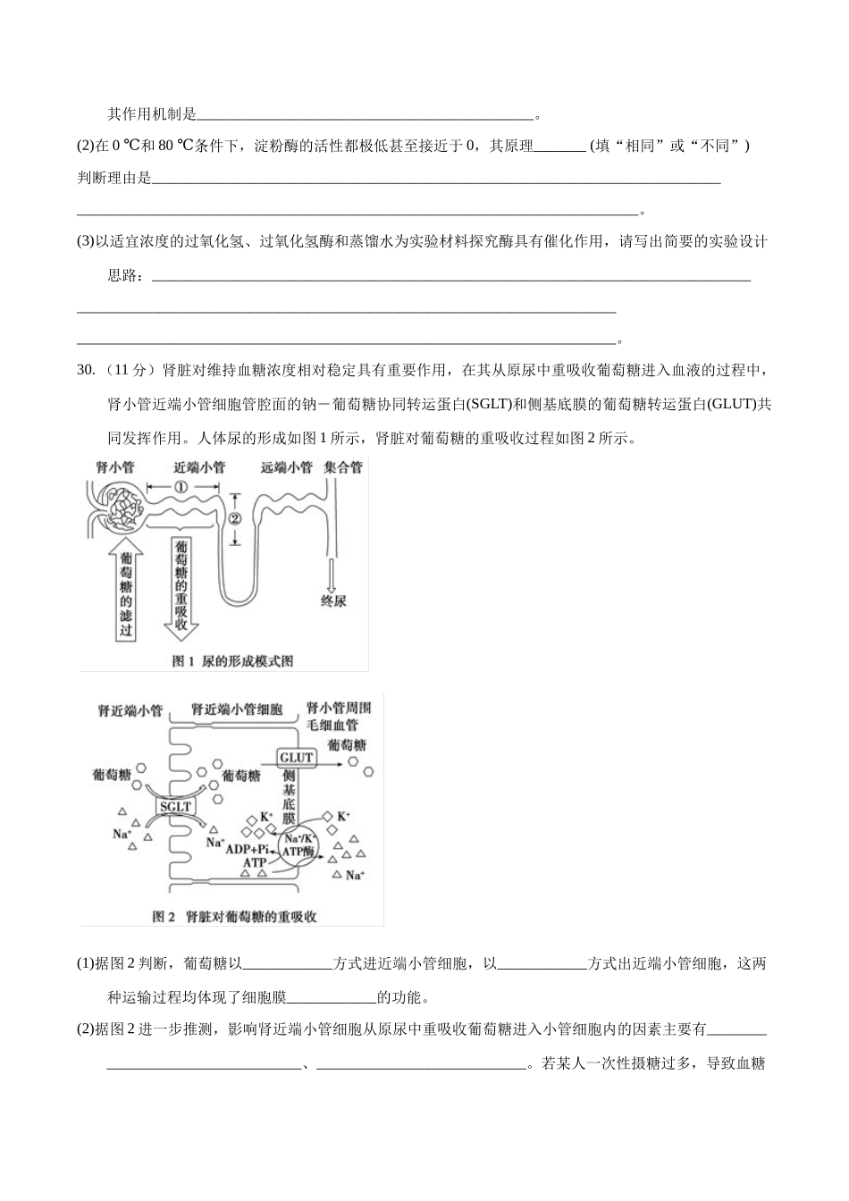 2023年高考押题预测卷01(全国甲卷)-生物(考试版).docx_第3页
