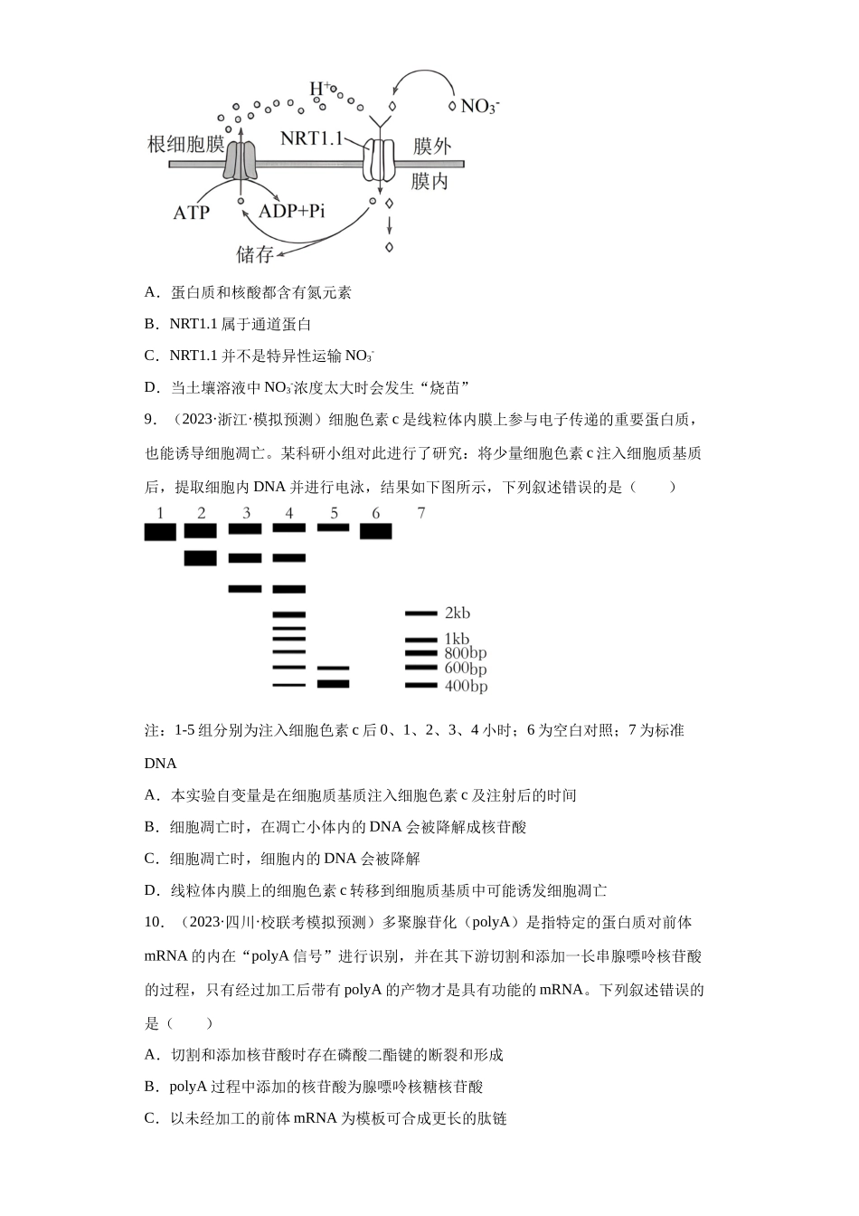 能力分层训练03 蛋白质、核酸(解析版).docx_第3页