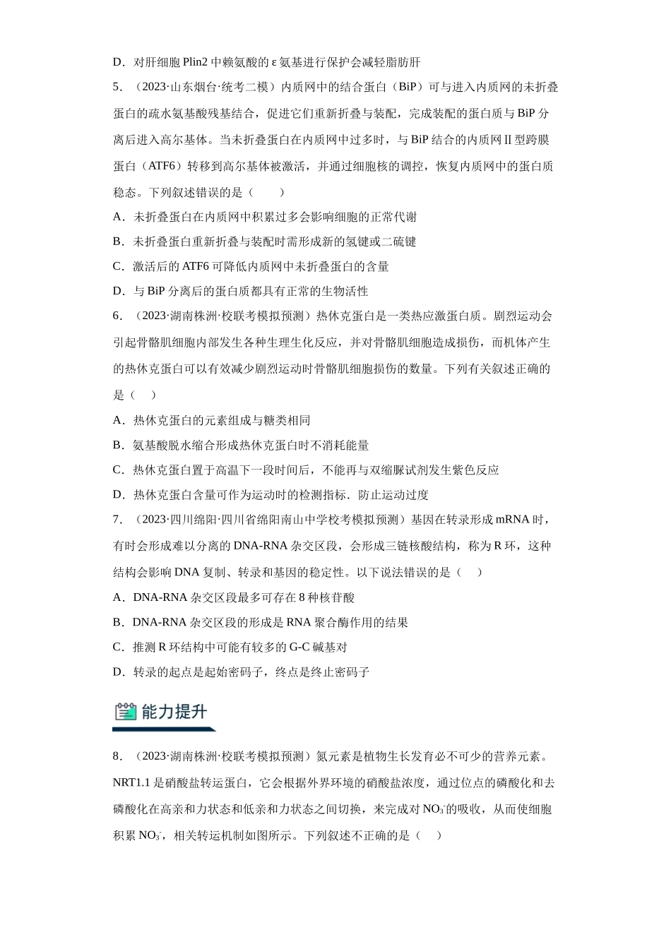 能力分层训练03 蛋白质、核酸(原卷版).docx_第2页