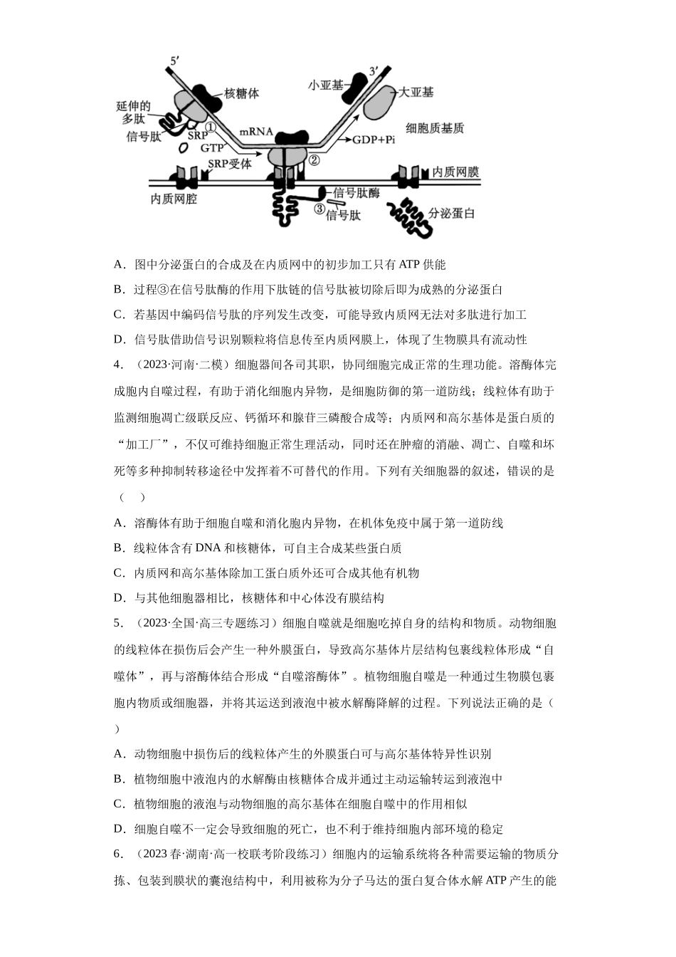 能力分层训练05 细胞器及生物膜系统(解析版).docx_第2页