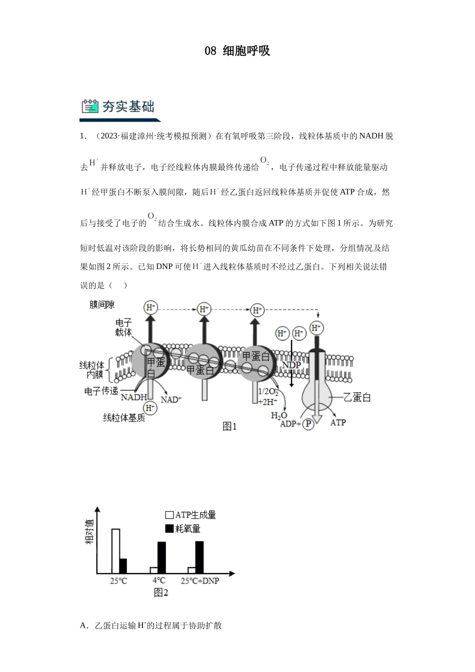 能力分层训练08 细胞呼吸(解析版).docx_第1页