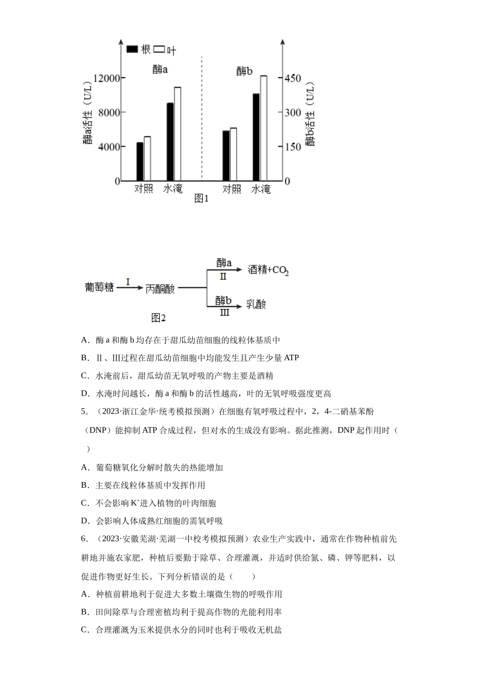 能力分层训练08 细胞呼吸(解析版).docx_第3页