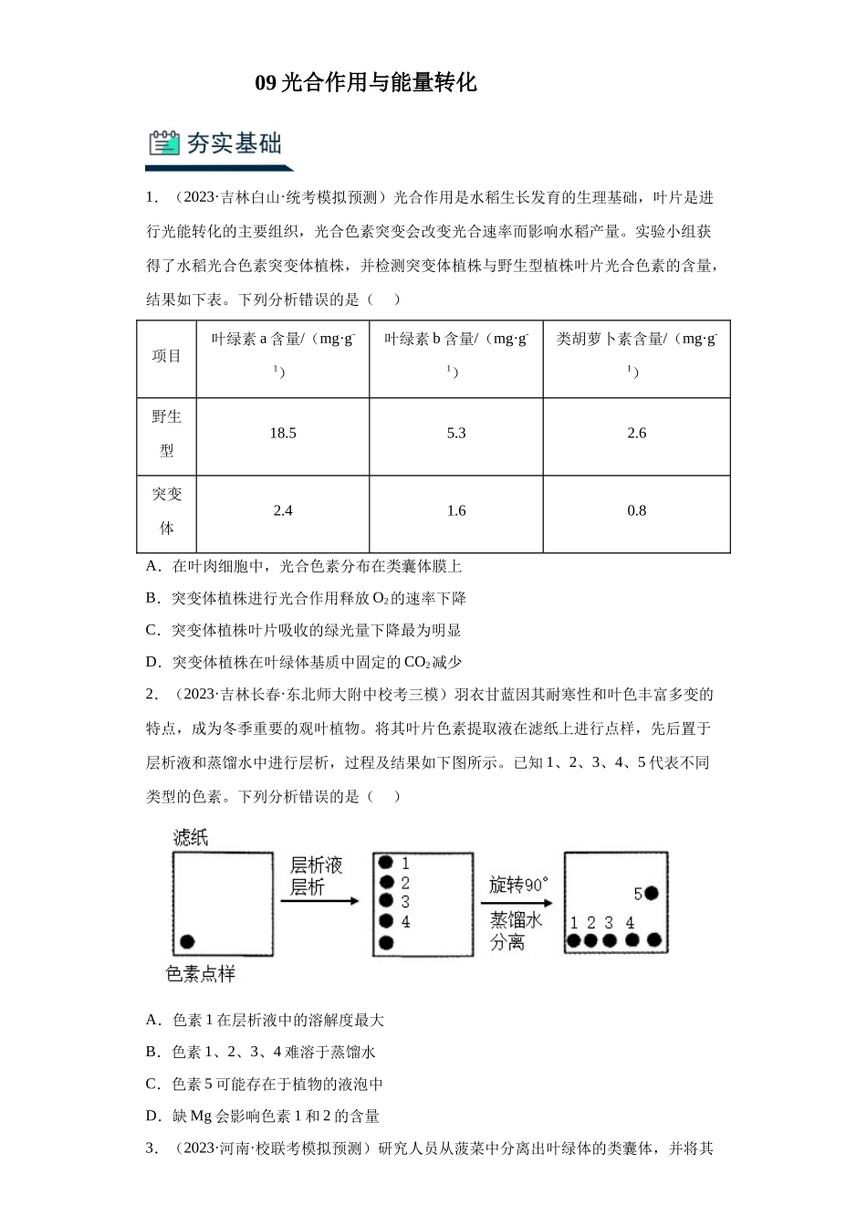 能力分层训练09 光合作用与能量转化(解析版).docx_第1页