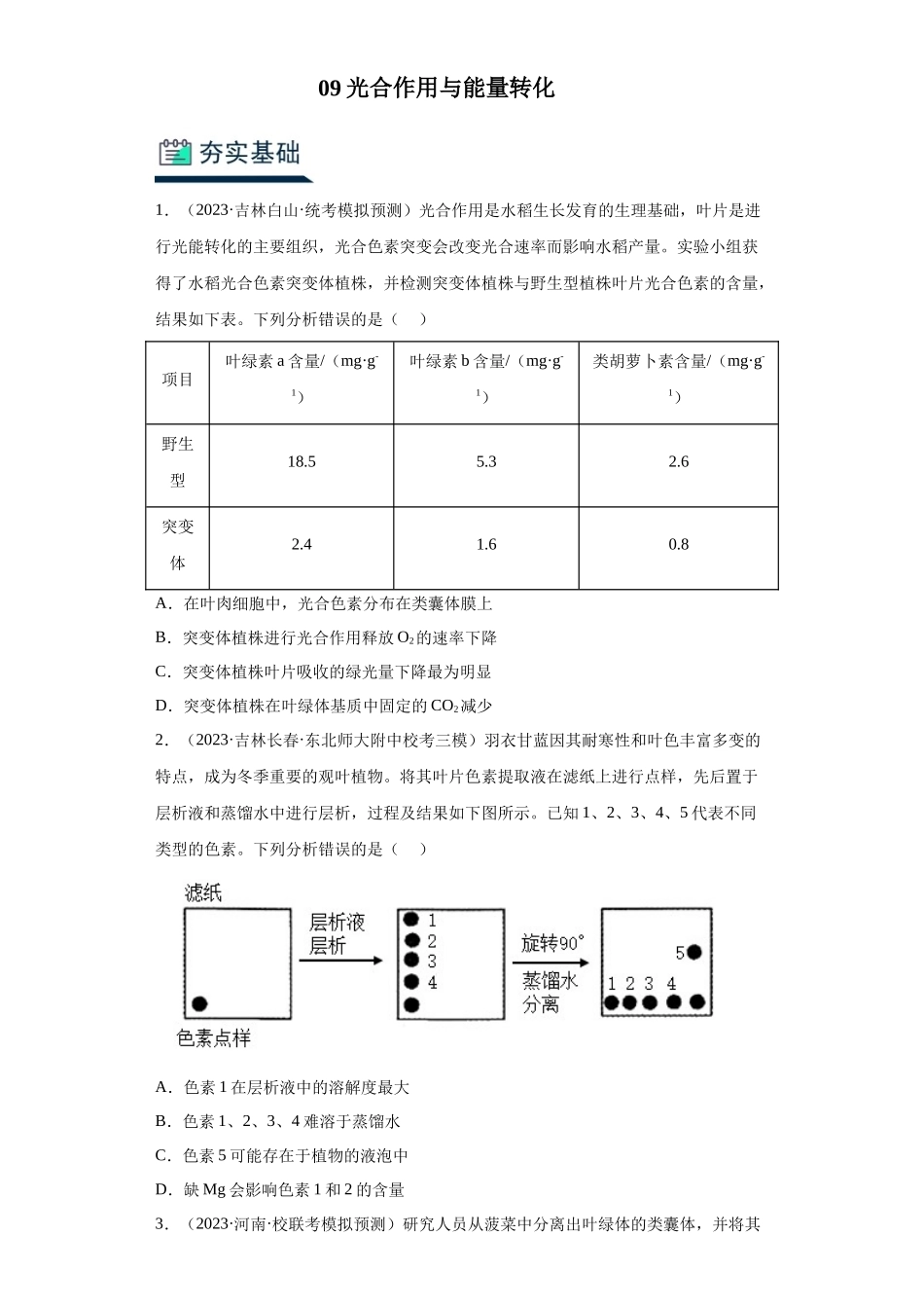 能力分层训练09光合作用与能量转化(原卷版).docx_第1页