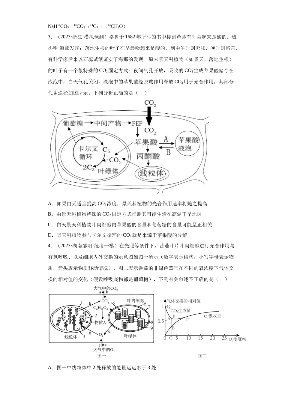 能力分层训练10 光合作用与细胞呼吸的综合运用（解析版）.docx_第2页