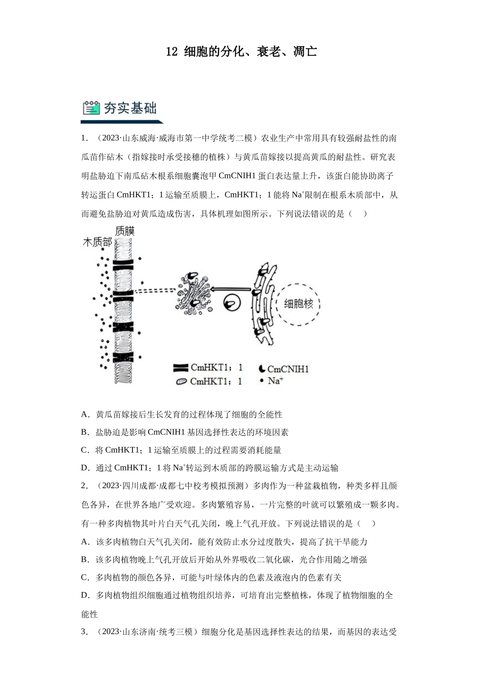 能力分层训练13 细胞的分化、衰老、凋亡(解析版).docx_第1页