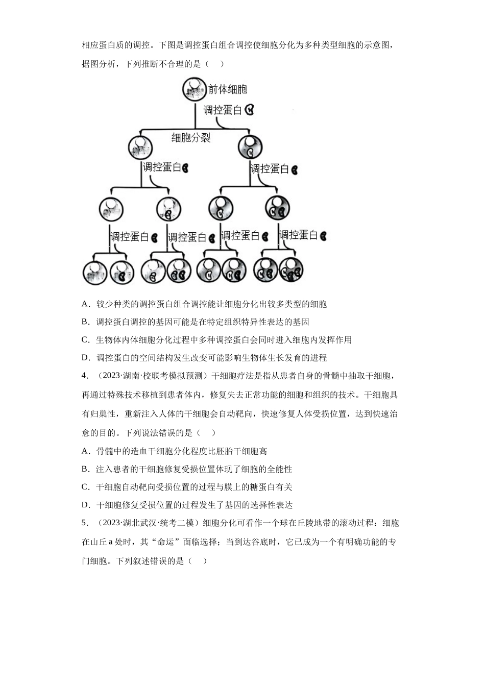 能力分层训练13 细胞的分化、衰老、凋亡(解析版).docx_第2页
