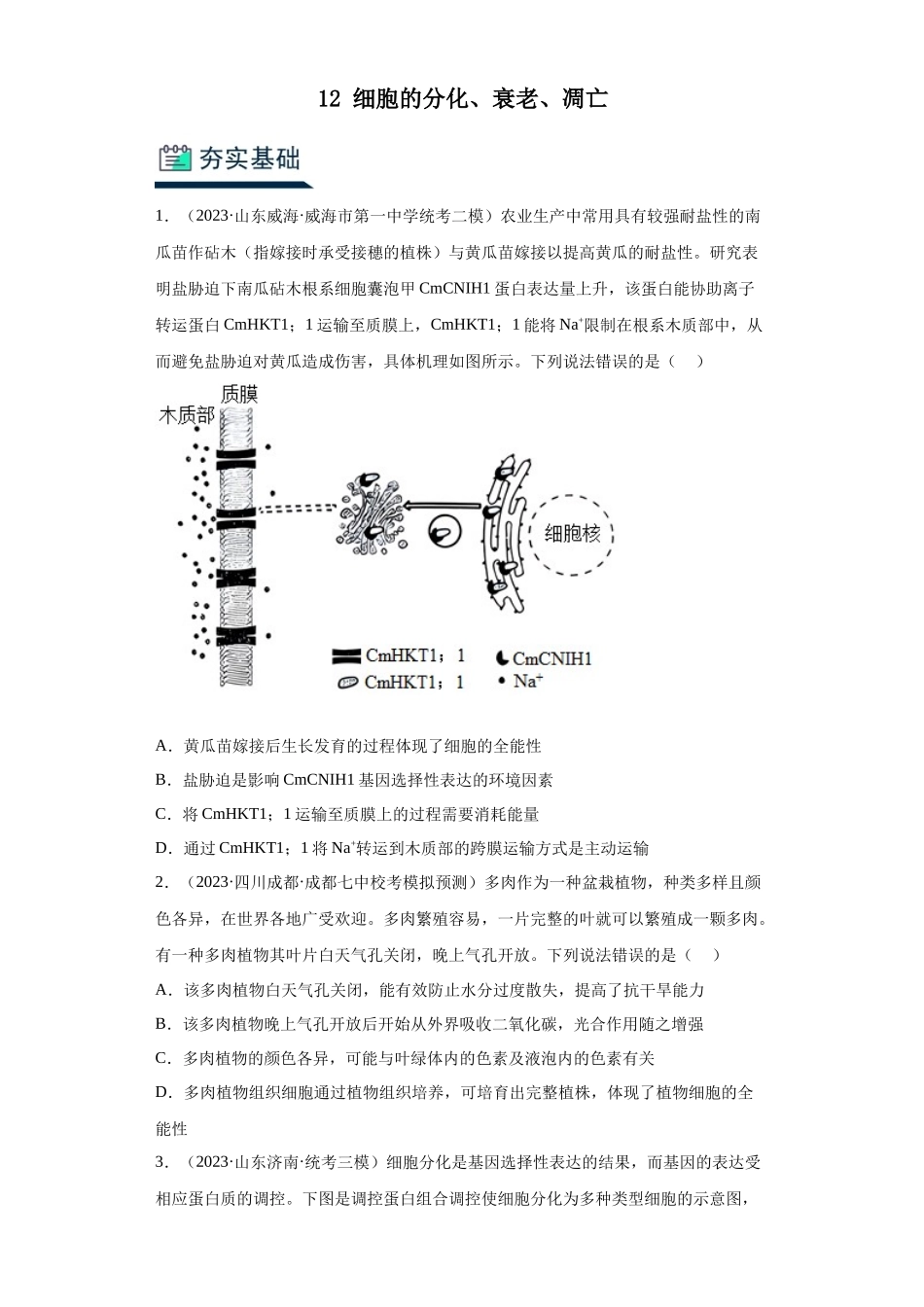 能力分层训练13 细胞的分化、衰老、凋亡(原卷版).docx_第1页
