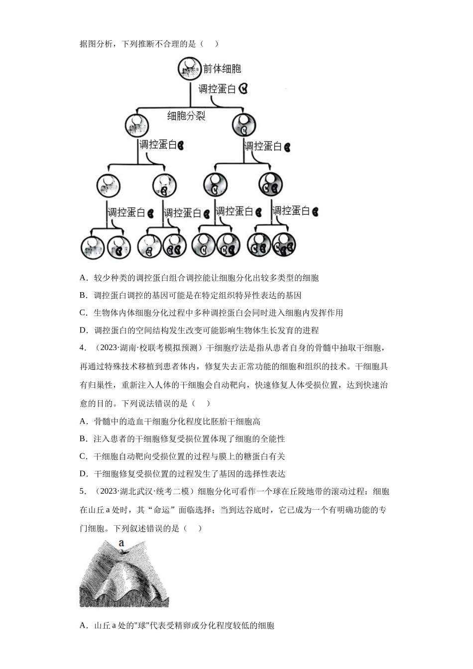 能力分层训练13 细胞的分化、衰老、凋亡(原卷版).docx_第2页
