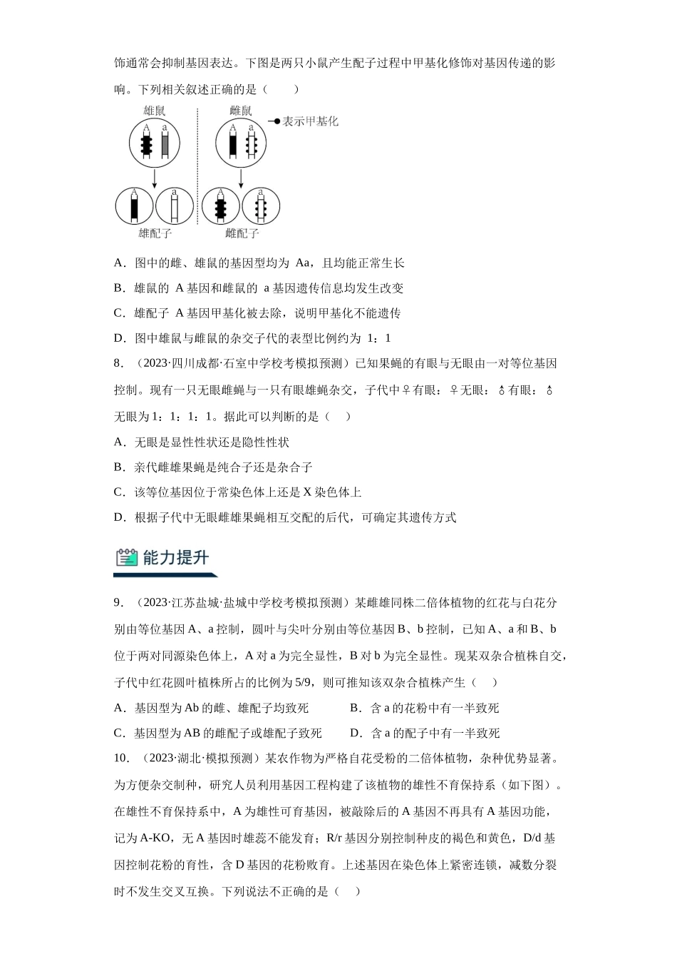 能力分层训练14 基因的分离定律(原卷版).docx_第3页