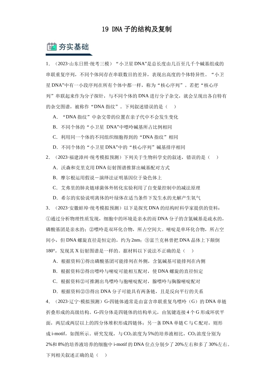 能力分层训练19DNA子的结构及复制(解析版).docx_第1页