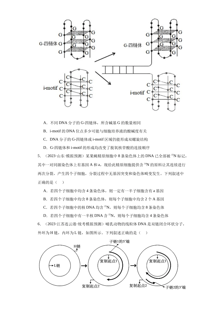 能力分层训练19DNA子的结构及复制(解析版).docx_第2页