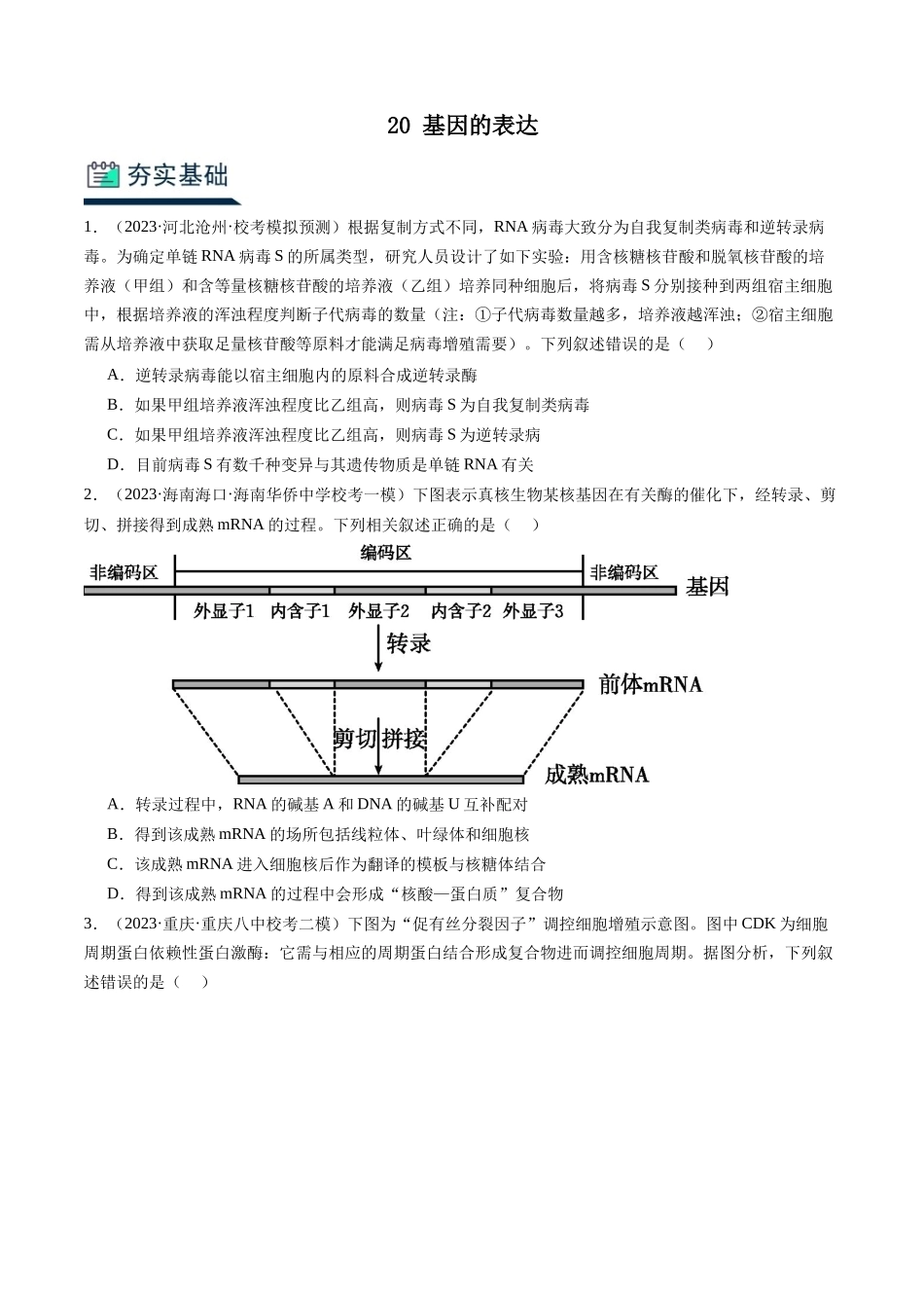 能力分层训练20 基因的表达(解析版).docx_第1页