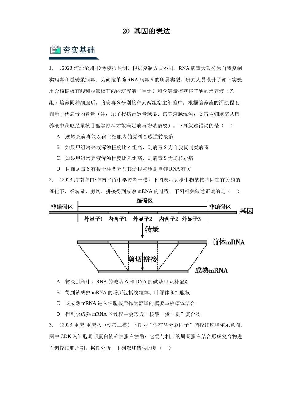 能力分层训练20 基因的表达(原卷版).docx_第1页