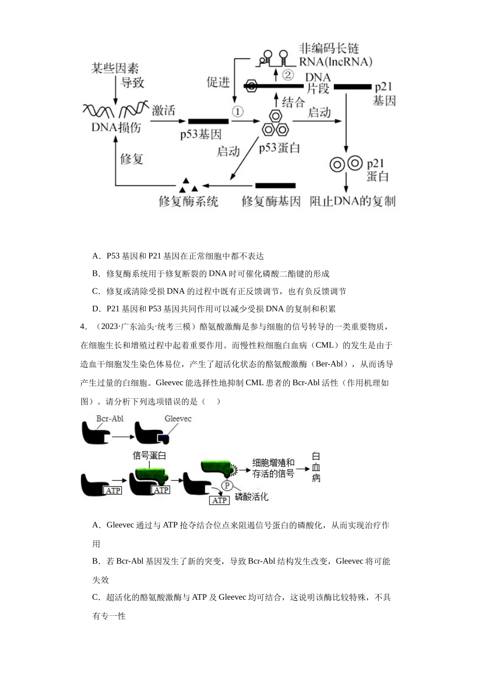 能力分层训练21 基因突变与基因重组(原卷版).docx_第2页