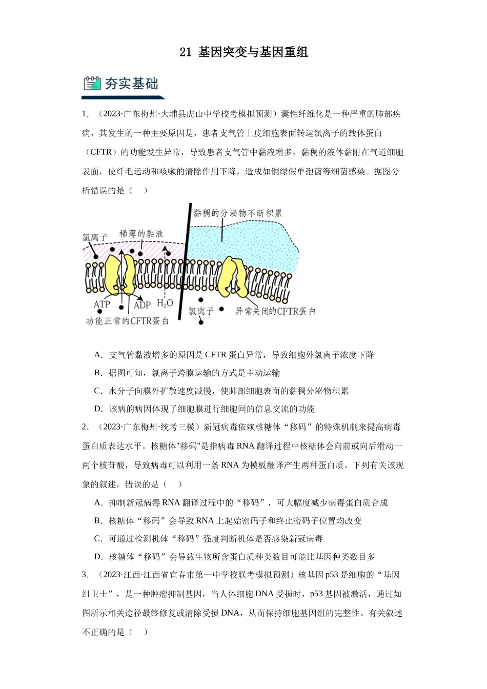 能力分层训练21基因突变与基因重组(解析版).docx_第1页