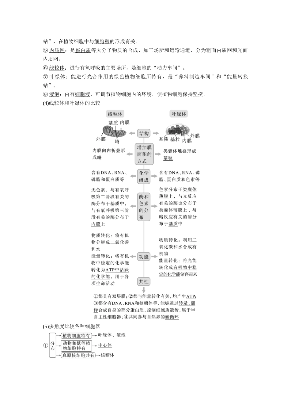 2024年高考生物一轮复习（新人教版） 第2单元　第2课时　细胞器之间的分工合作.docx_第2页