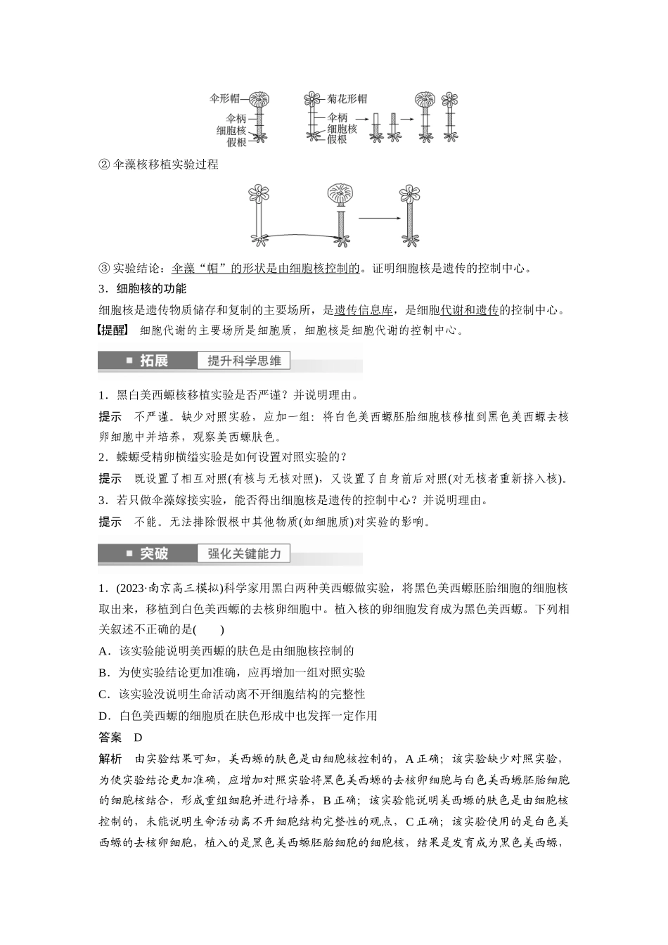 2024年高考生物一轮复习（新人教版） 第2单元　第3课时　细胞核的结构和功能.docx_第2页