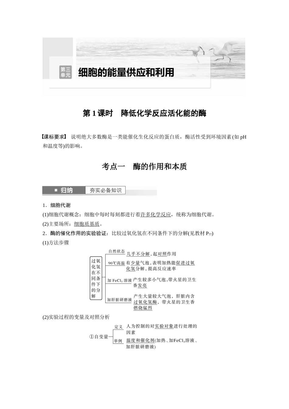 2024年高考生物一轮复习（新人教版） 第3单元　第1课时　降低化学反应活化能的酶.docx_第1页