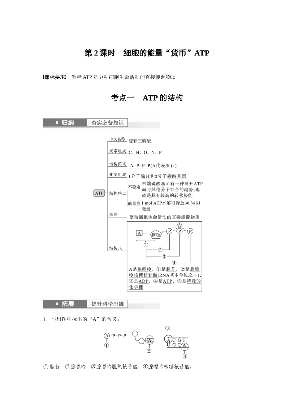 2024年高考生物一轮复习(新人教版) 第3单元 第2课时 细胞的能量“货币”ATP.docx_第1页