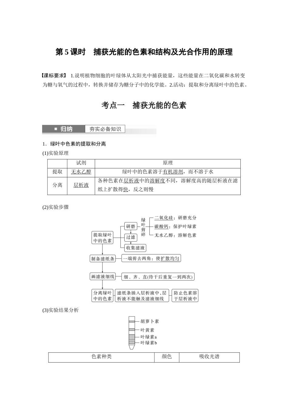 2024年高考生物一轮复习（新人教版） 第3单元　第5课时　捕获光能的色素和结构及光合作用的原理.docx_第1页