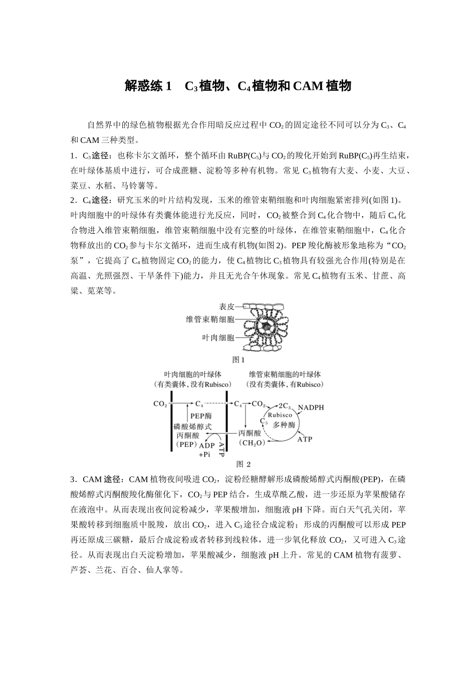 2024年高考生物一轮复习(新人教版) 第3单元 解惑练1 C3植物、C4植物和CAM植物.docx_第1页