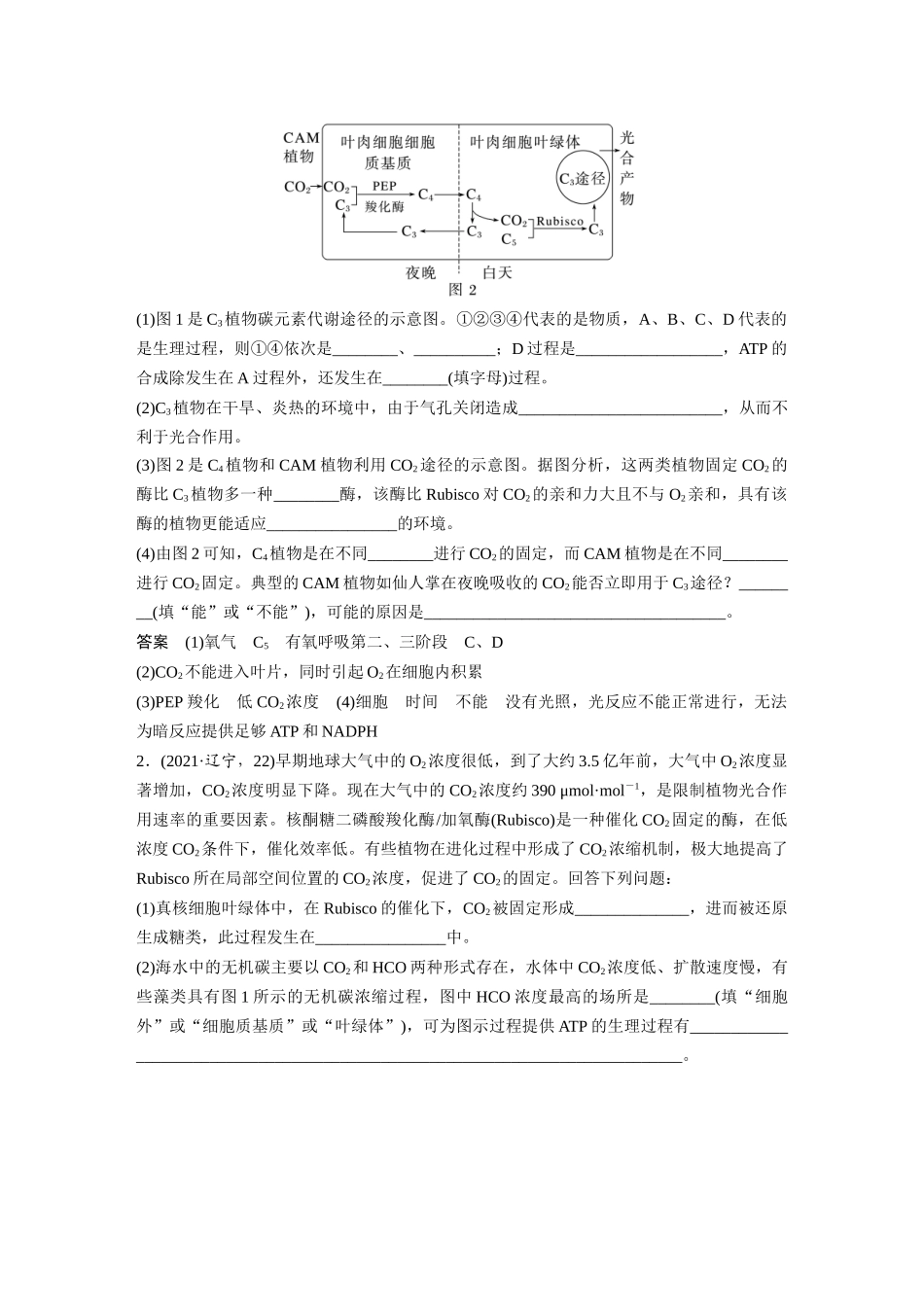 2024年高考生物一轮复习(新人教版) 第3单元 解惑练1 C3植物、C4植物和CAM植物.docx_第3页