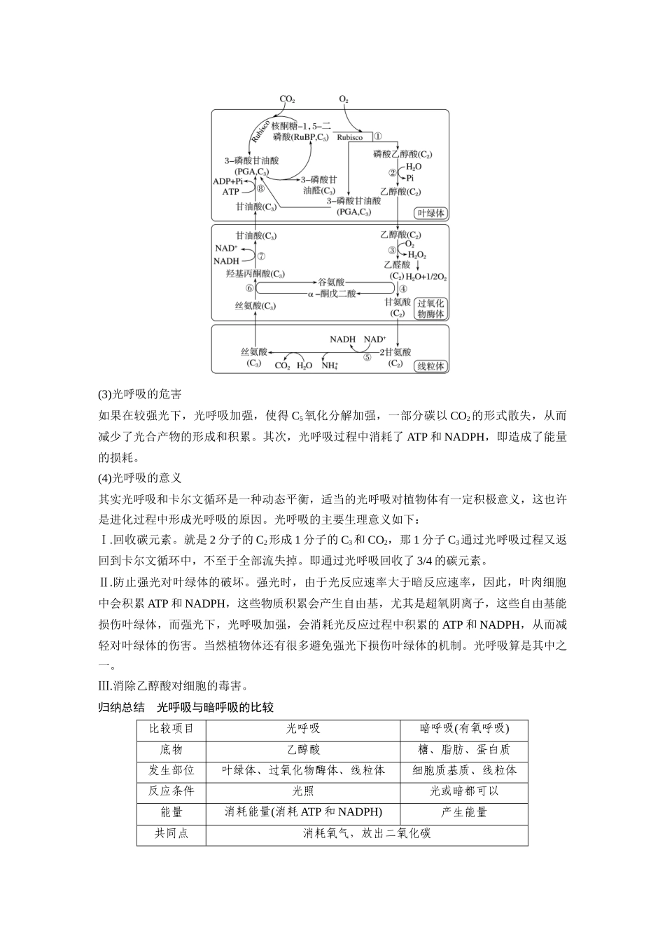 2024年高考生物一轮复习(新人教版) 第3单元 解惑练2 光呼吸和光抑制.docx_第2页