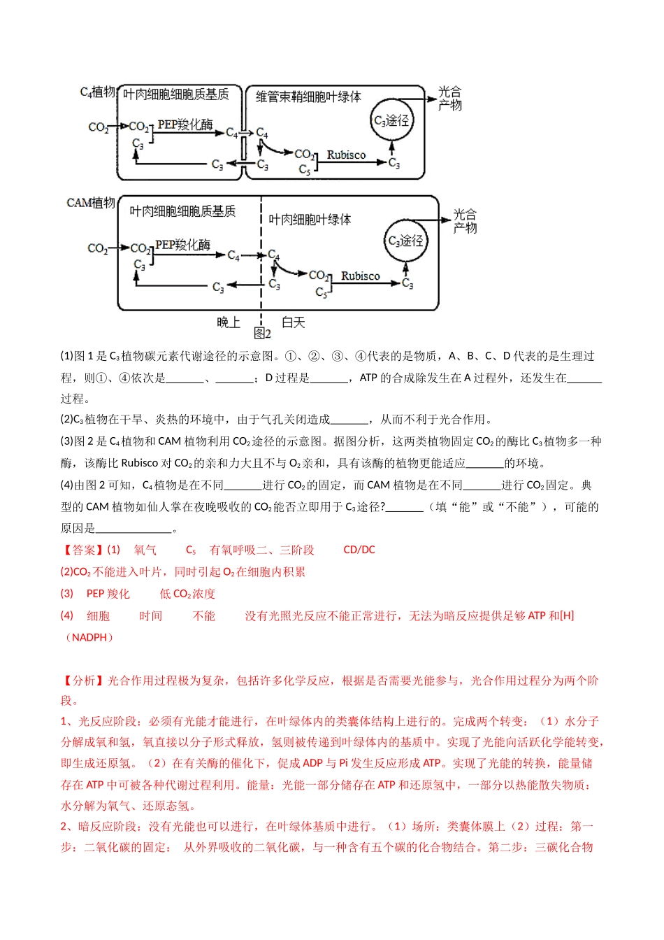 热点02 C3植物、C4植物和CAM植物的光合作用（教师版）.docx_第3页