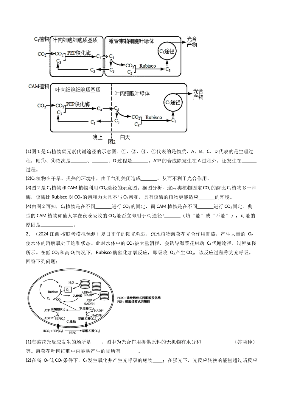 热点02 C3植物、C4植物和CAM植物的光合作用（学生版）.docx_第3页