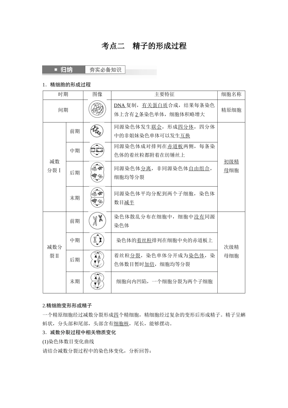 2024年高考生物一轮复习（新人教版） 第4单元　第3课时　减数分裂和受精作用.docx_第3页
