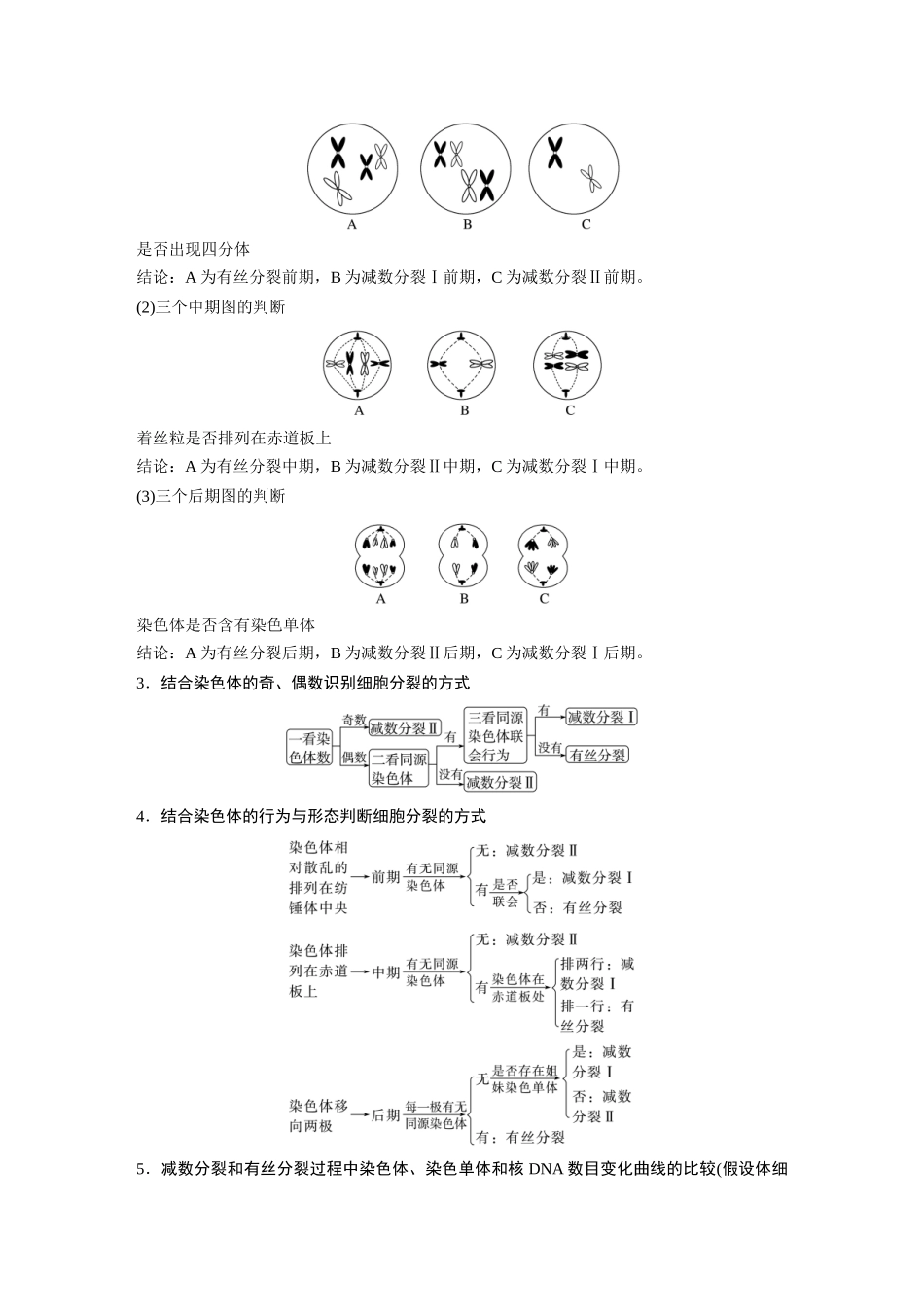 2024年高考生物一轮复习（新人教版） 第4单元　第4课时　减数分裂与有丝分裂的比较及观察蝗虫精母细胞减数分裂装片.docx_第2页