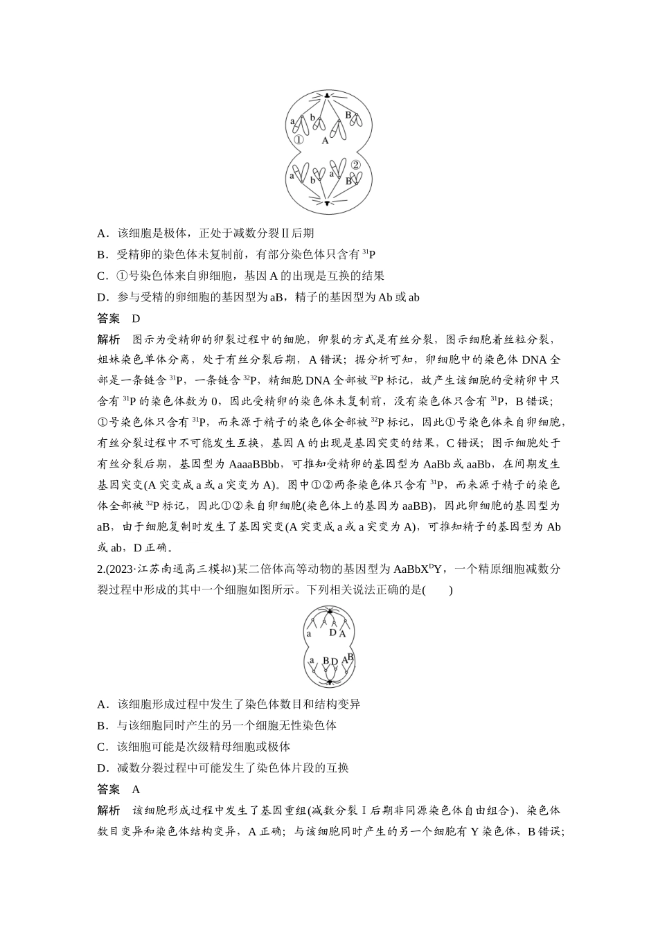2024年高考生物一轮复习（新人教版） 第4单元　微专题三　减数分裂与可遗传变异的关系.docx_第3页
