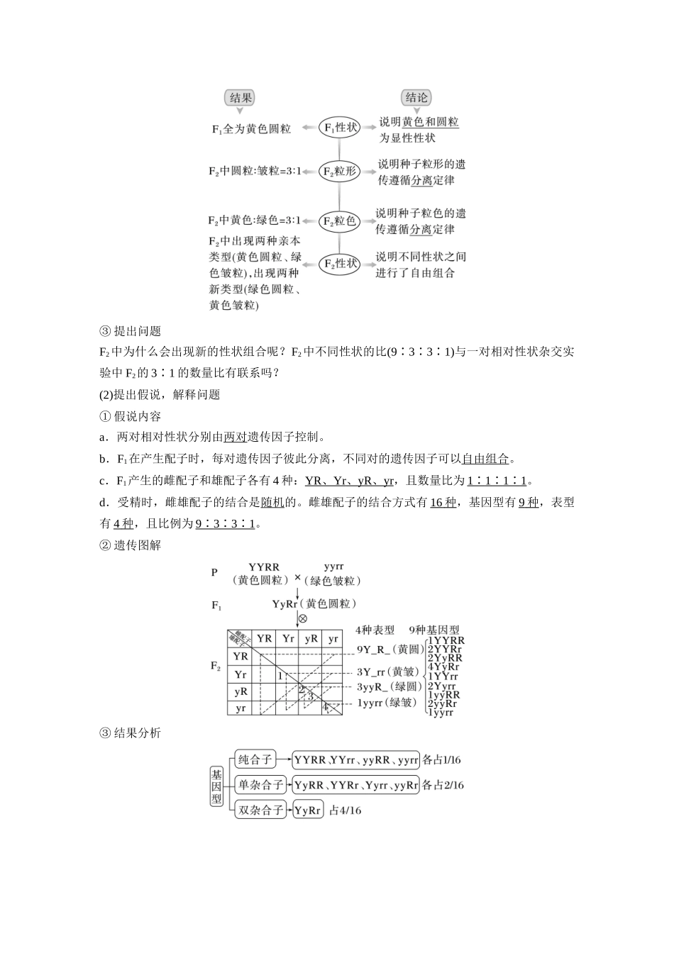 2024年高考生物一轮复习（新人教版） 第5单元　第4课时　自由组合定律的发现及应用.docx_第2页
