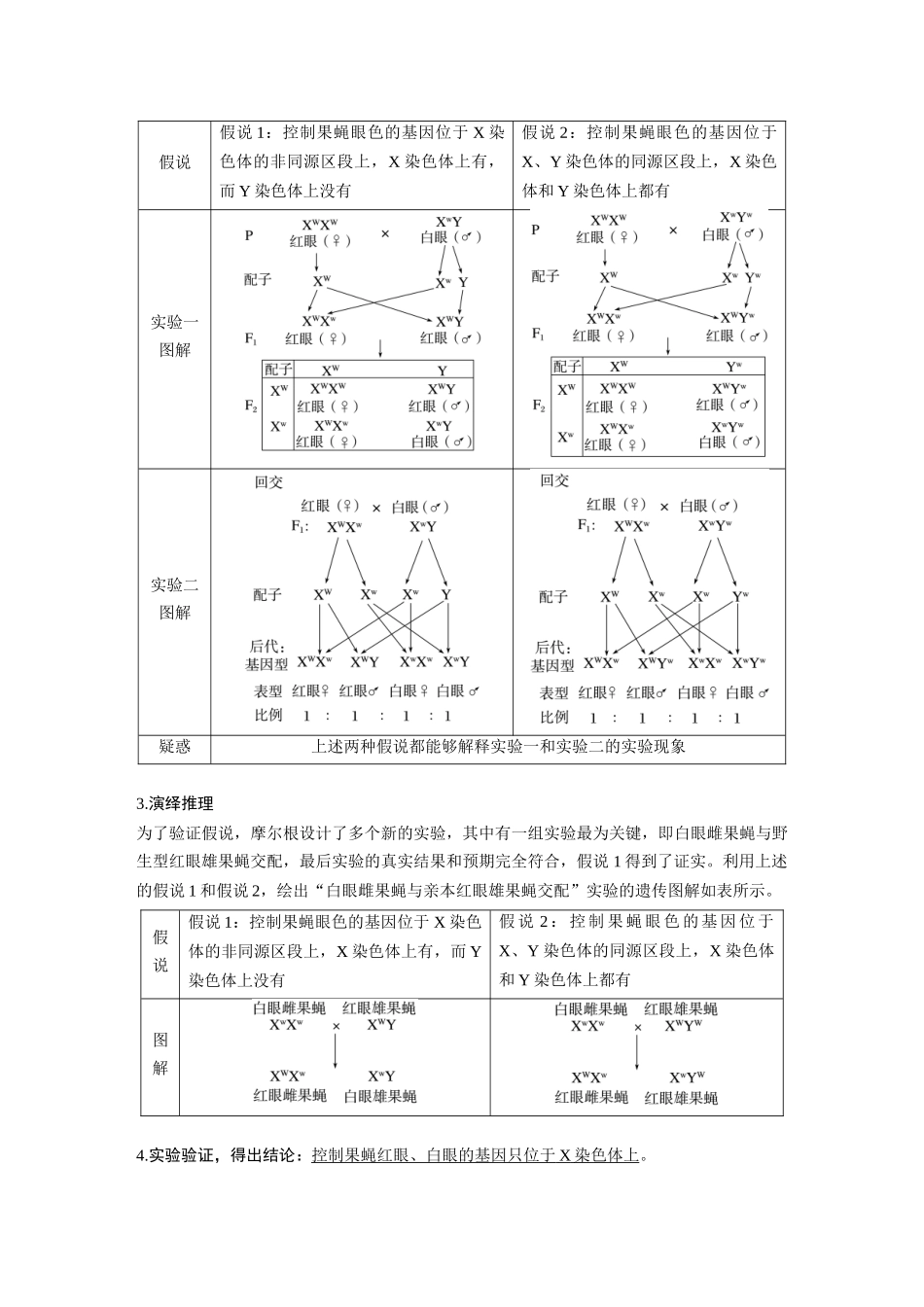 2024年高考生物一轮复习（新人教版） 第5单元　第7课时　基因在染色体上的假说与证据.docx_第3页