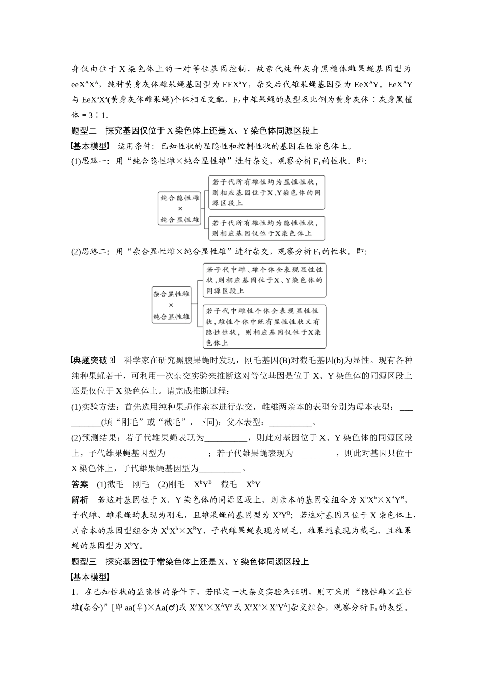 2024年高考生物一轮复习(新人教版) 第5单元 第9课时 与性染色体相关的基因位置的分析与判断题型突破.docx_第3页