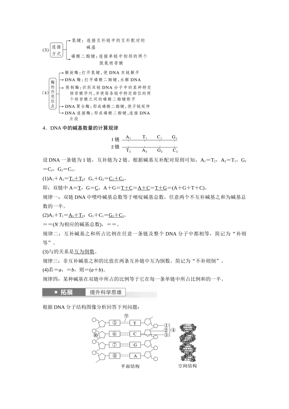 2024年高考生物一轮复习(新人教版) 第6单元 第2课时 DNA的结构与复制.docx_第3页