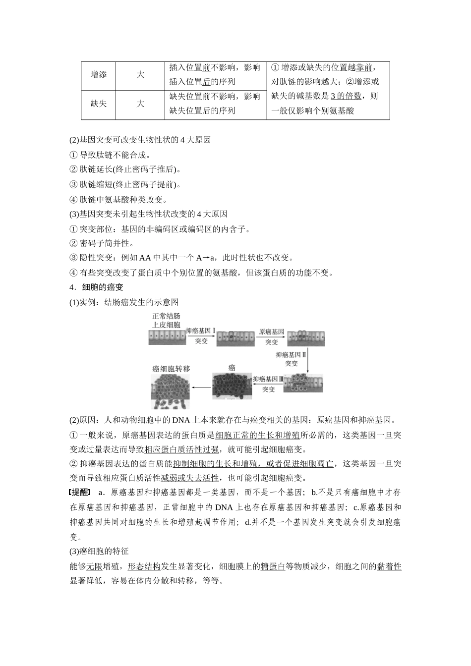 2024年高考生物一轮复习（新人教版） 第7单元　第1课时　基因突变与基因重组.docx_第3页